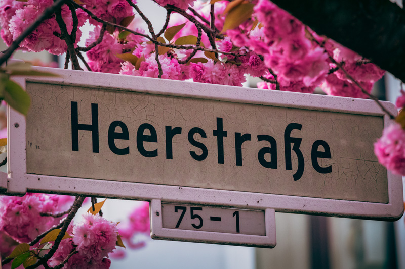 ボン旧市街ヘーア通りの桜と人気の撮影スポット